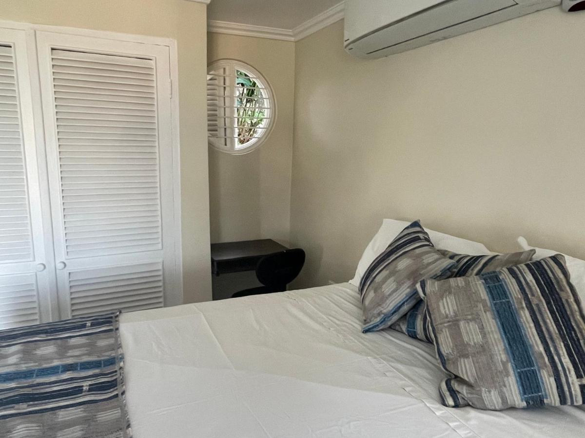 Hummingbird Retreat - Luxury Oceanview Apt, 7-Minute Walk To Beach Ocho Rios Kültér fotó