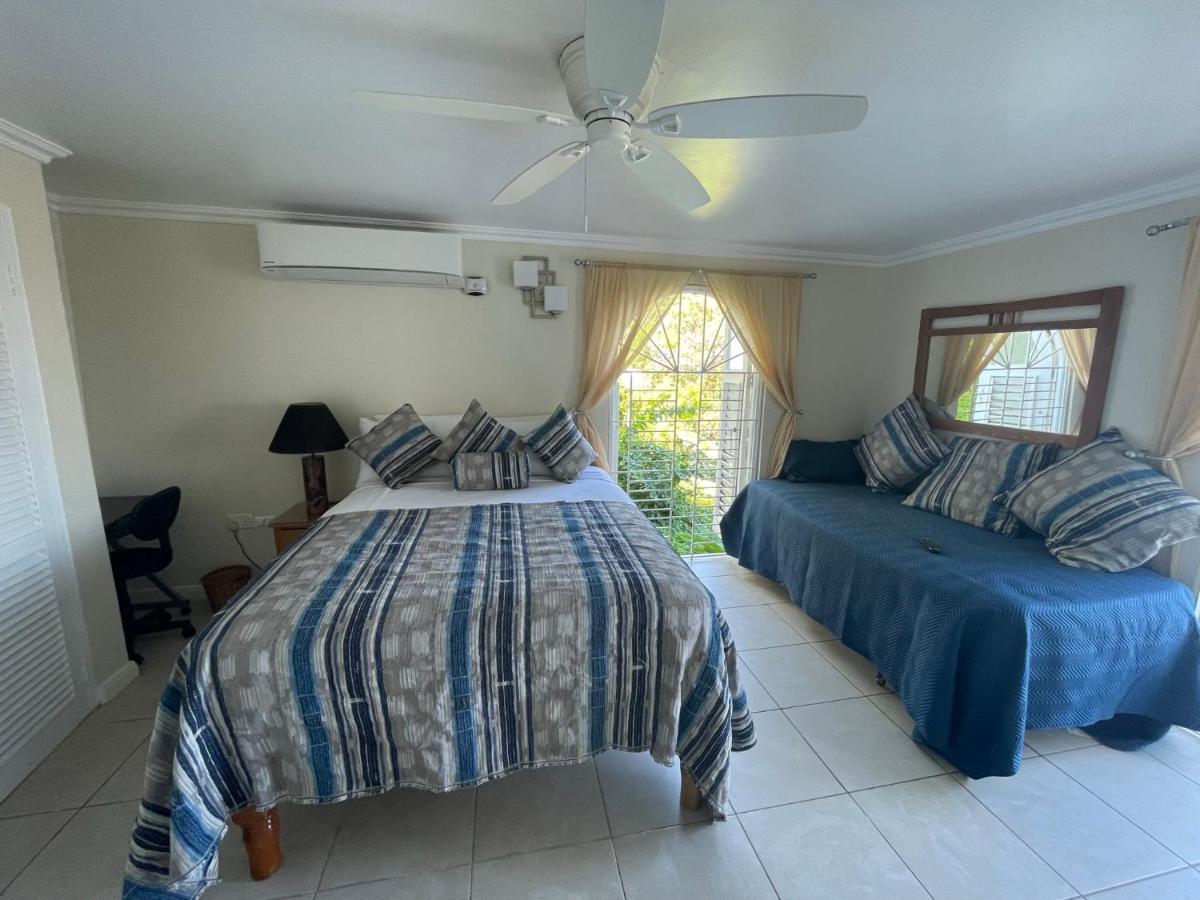 Hummingbird Retreat - Luxury Oceanview Apt, 7-Minute Walk To Beach Ocho Rios Kültér fotó
