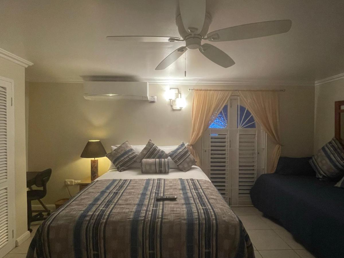 Hummingbird Retreat - Luxury Oceanview Apt, 7-Minute Walk To Beach Ocho Rios Kültér fotó