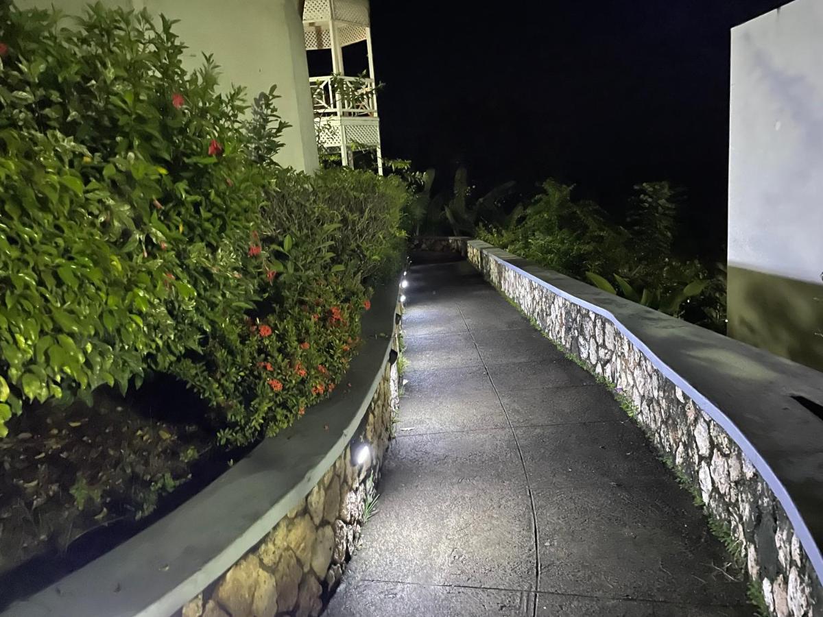 Hummingbird Retreat - Luxury Oceanview Apt, 7-Minute Walk To Beach Ocho Rios Kültér fotó