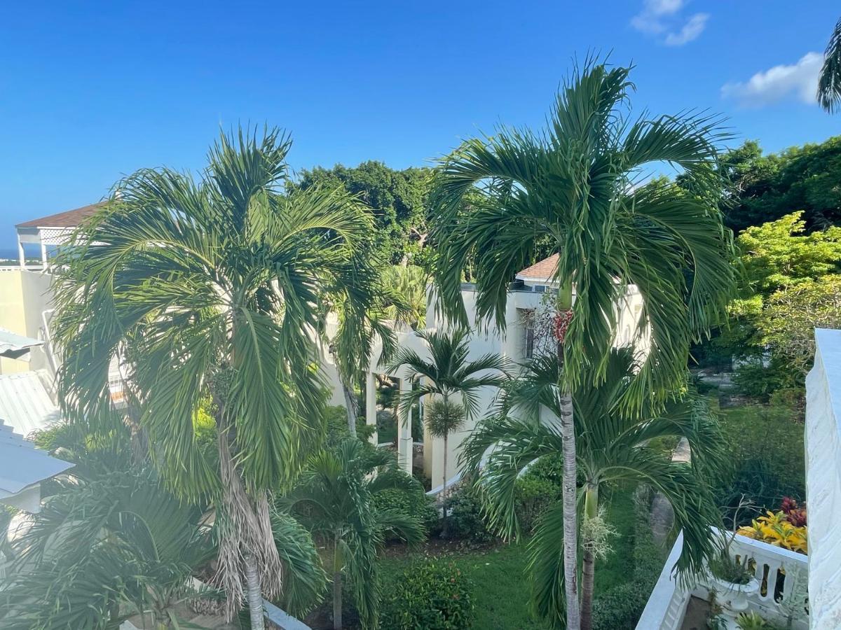 Hummingbird Retreat - Luxury Oceanview Apt, 7-Minute Walk To Beach Ocho Rios Kültér fotó