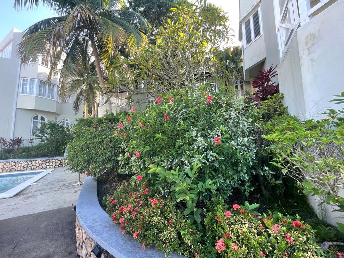 Hummingbird Retreat - Luxury Oceanview Apt, 7-Minute Walk To Beach Ocho Rios Kültér fotó