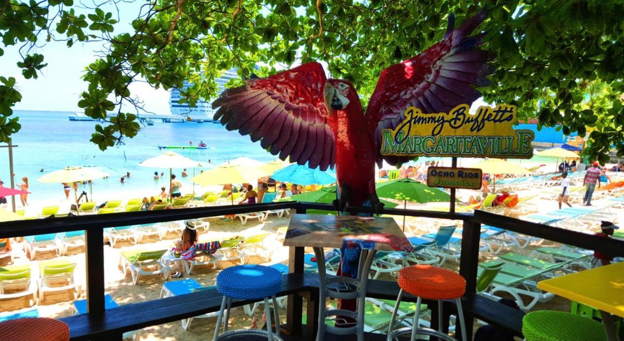 Hummingbird Retreat - Luxury Oceanview Apt, 7-Minute Walk To Beach Ocho Rios Kültér fotó