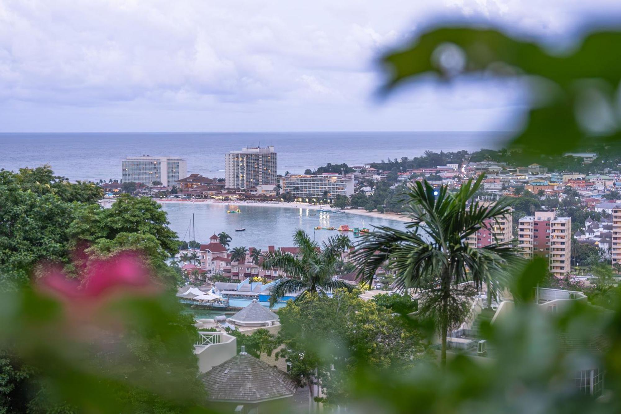 Hummingbird Retreat - Luxury Oceanview Apt, 7-Minute Walk To Beach Ocho Rios Kültér fotó